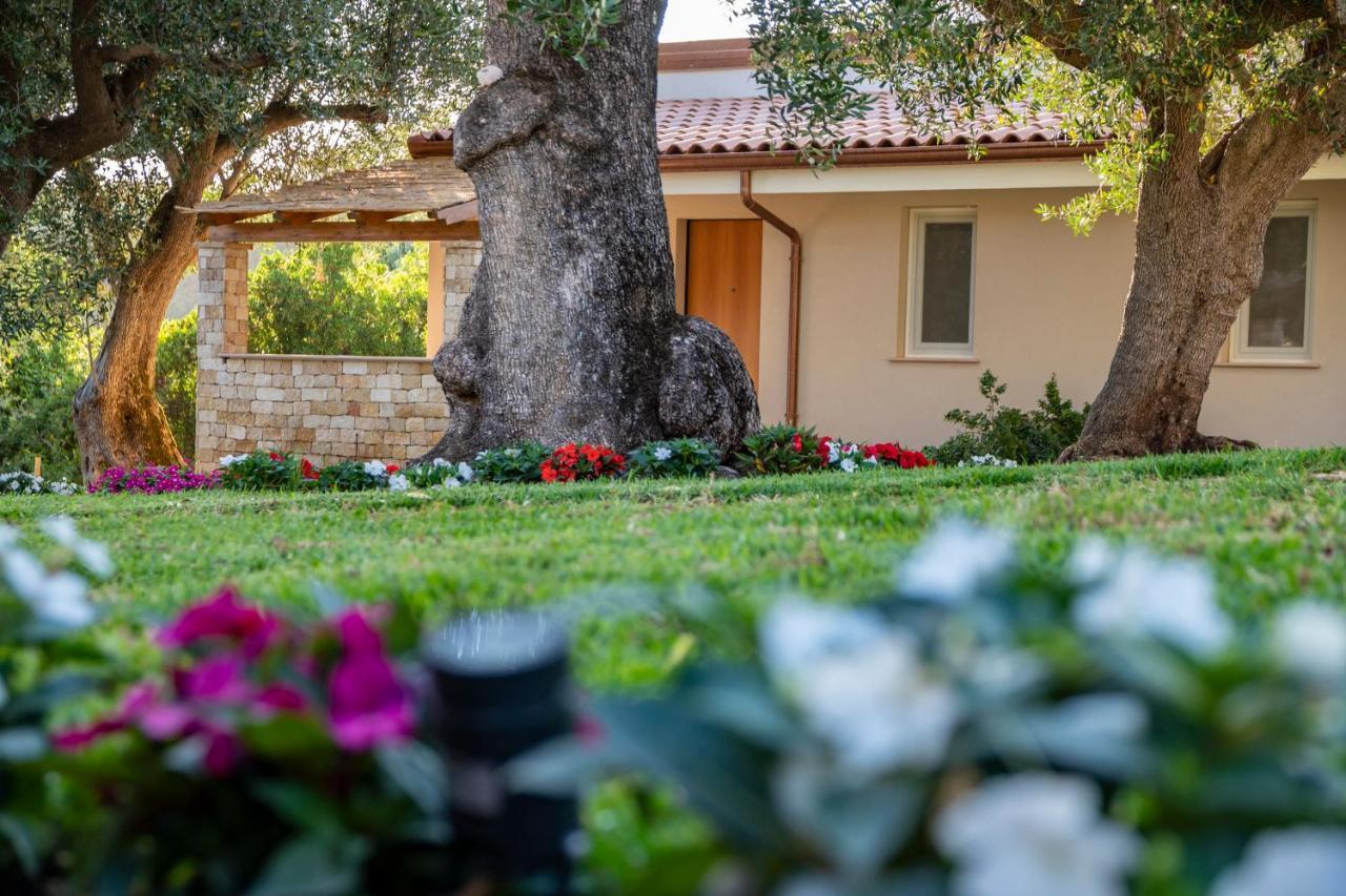 Il Mirto Residence Marina di Camerota Exterior photo