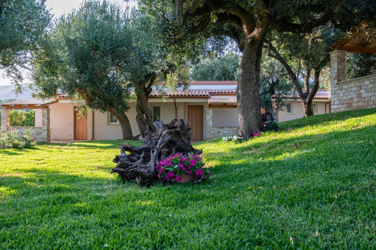 Il Mirto Residence Marina di Camerota Exterior photo