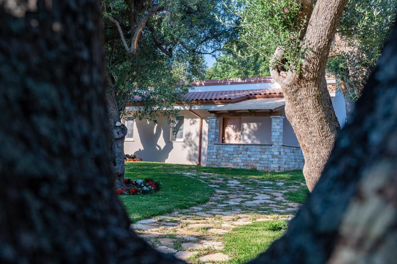 Il Mirto Residence Marina di Camerota Exterior photo