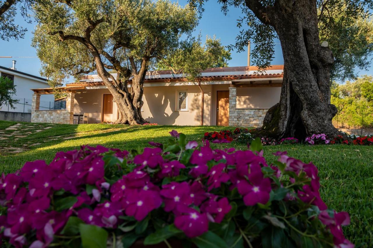Il Mirto Residence Marina di Camerota Exterior photo